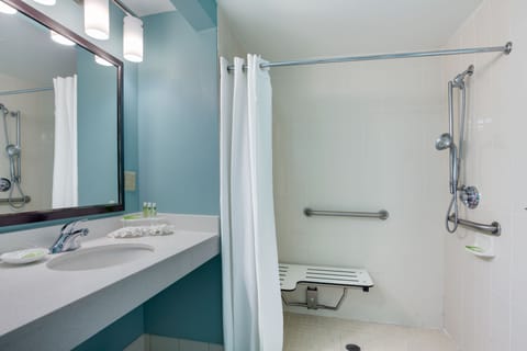 Standard Room, 1 King Bed, Accessible (Mobility Roll-In Shower) | Bathroom | Free toiletries, hair dryer, towels