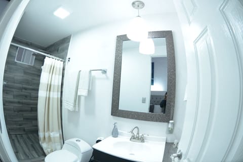 Standard Double Room | Bathroom | Shower, rainfall showerhead, free toiletries, hair dryer