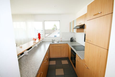 Apartment, 3 Bedrooms, Terrace, Lake View | Private kitchen | Microwave, dishwasher, coffee/tea maker, electric kettle