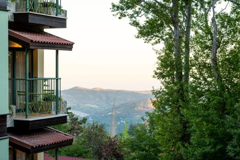 Superior Double Room (with 2 balconies) | Balcony