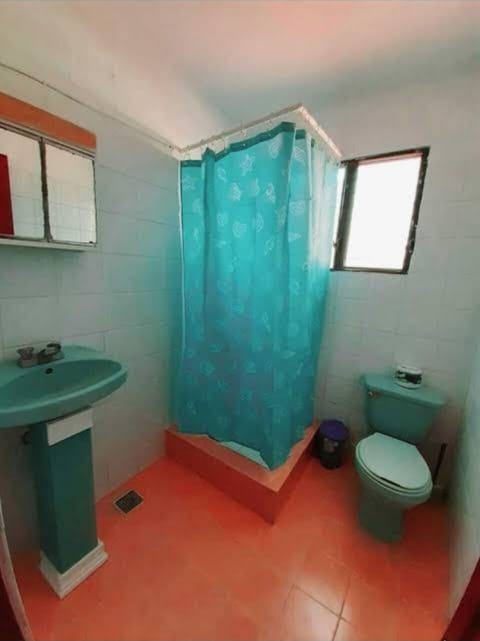 Traditional Apartment | Bathroom | Shower, rainfall showerhead, towels, soap