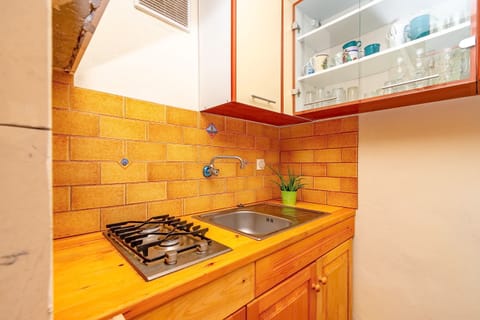 House (One Bedroom House with Terrace) | Private kitchen | Fridge