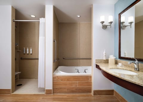 Room, Accessible | Bathroom shower