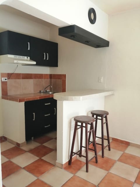 Family Apartment, 1 Bedroom, Private Bathroom, Garden View | Private kitchen