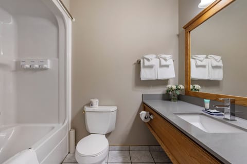 Deluxe Room, 1 King Bed, City View | Bathroom | Designer toiletries, hair dryer, towels, soap