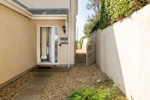 Sand Dollar - External side