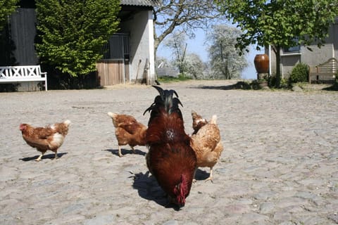 Children's activities