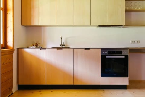 Apartment (Gräsalpe) | Private kitchen | Fridge, microwave, oven, stovetop