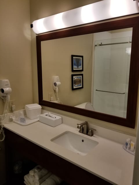 Standard Room, 1 King Bed, Non Smoking | Bathroom | Free toiletries, hair dryer, towels