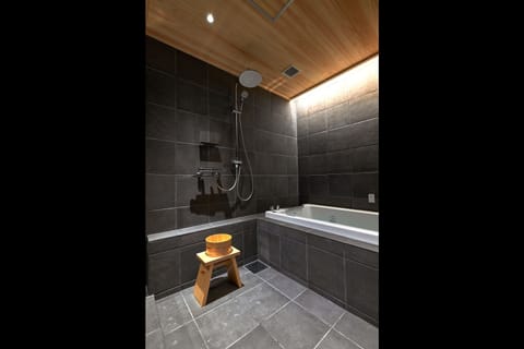 Separate tub and shower, hydromassage showerhead, hair dryer, slippers