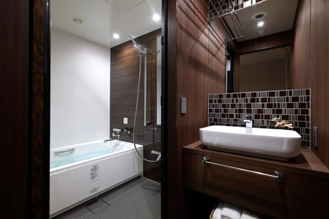 Separate tub and shower, hydromassage showerhead, hair dryer, slippers