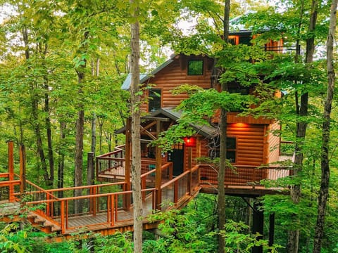 Treehouse Exterior
