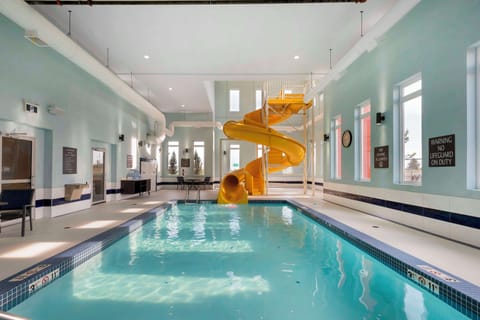 Indoor pool, sun loungers