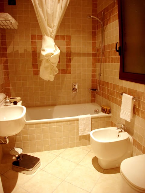 Combined shower/tub, deep soaking tub, hair dryer, bidet