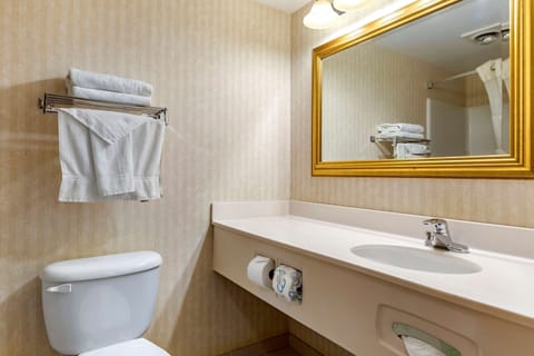 Standard Room, 1 King Bed, Non Smoking | Bathroom | Combined shower/tub, hair dryer, towels