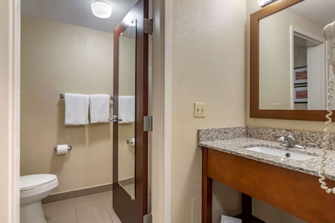 Standard Room, 1 King Bed, Hot Tub | Bathroom | Combined shower/tub, free toiletries, hair dryer, towels
