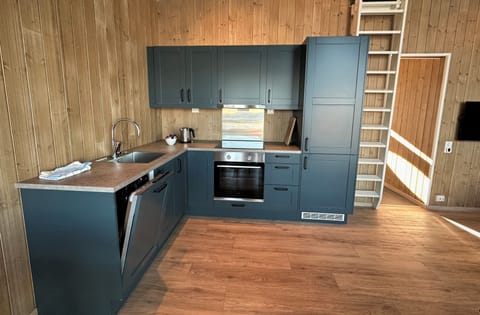Seaview Rorbu Torghatten | Private kitchen | Full-size fridge, oven, dishwasher, electric kettle