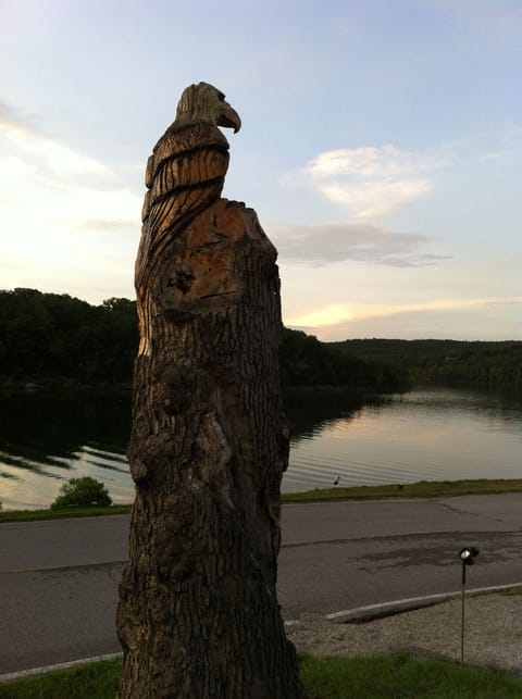 Eagle Tree Carving overlooking the beautiful calm water of Table Rock Lake. 