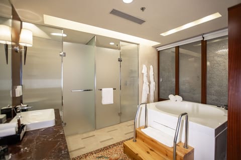 Premium Apartment, 2 Bedrooms | Bathroom | Separate tub and shower, rainfall showerhead, free toiletries