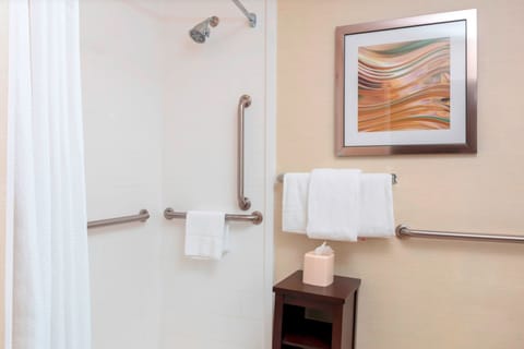 Combined shower/tub, free toiletries, hair dryer, towels