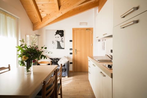 Premium Apartment, 1 Bedroom, Terrace, Lake View | Private kitchen | Microwave