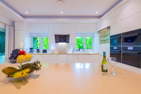 Exclusive Villa | Private kitchen | Fridge, microwave, oven, stovetop