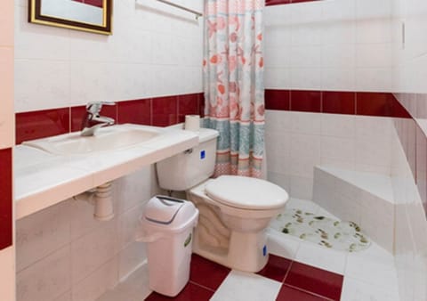 Exclusive Double Room | Bathroom | Shower, rainfall showerhead, free toiletries, hair dryer