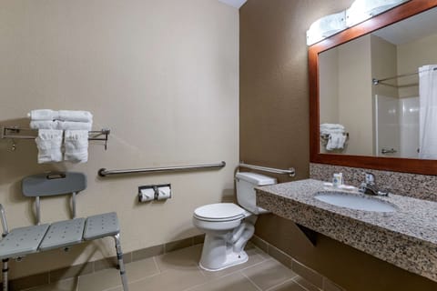 Room, 1 Queen Bed, Accessible, Non Smoking | Bathroom | Eco-friendly toiletries, hair dryer, towels