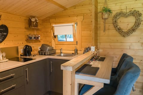 Cabin | Private kitchen | Fridge, microwave, oven, stovetop