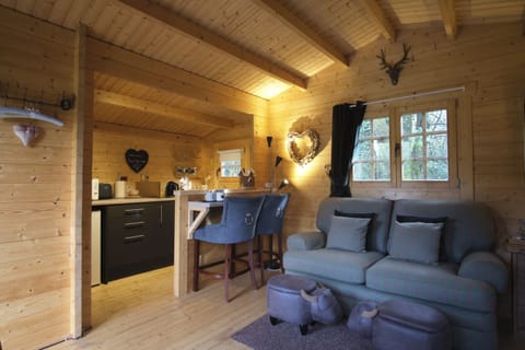 Cabin | Living area | Fireplace