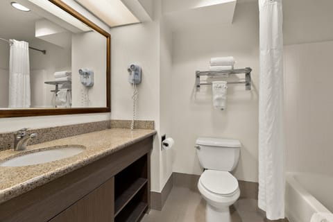 Deluxe Room, 1 King Bed, Non Smoking, Refrigerator & Microwave | Bathroom | Combined shower/tub, free toiletries, hair dryer, towels