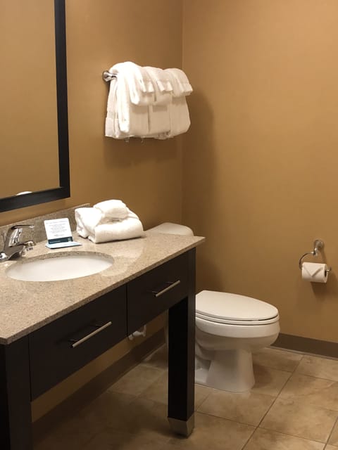 Combined shower/tub, free toiletries, hair dryer, towels