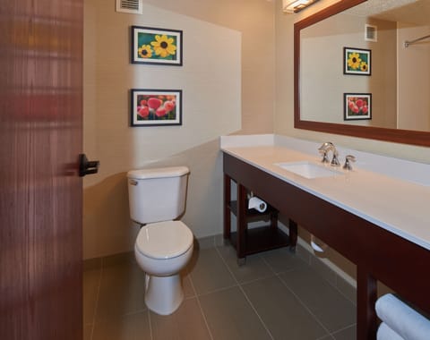 Combined shower/tub, jetted tub, free toiletries, hair dryer