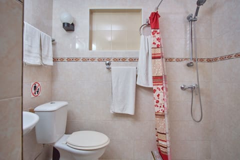 Basic Room | Bathroom | Shower, rainfall showerhead, hair dryer, towels