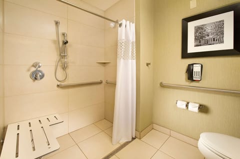 Room, 1 King Bed, Accessible (Roll-In Shower) | Bathroom shower