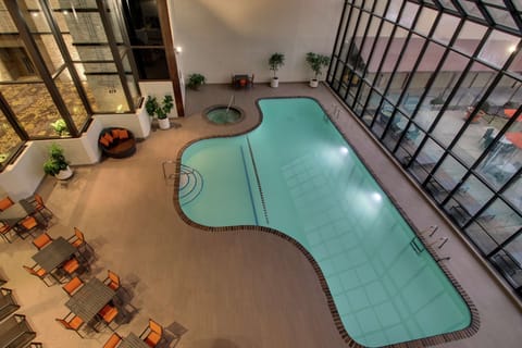 Indoor pool, sun loungers