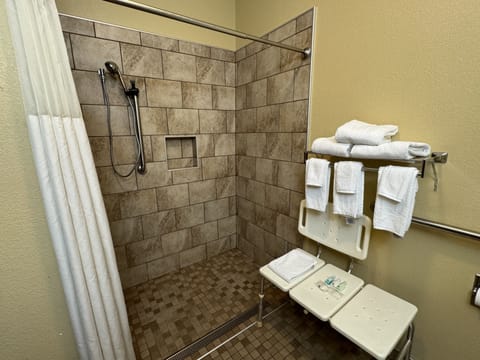 Standard Room, 1 Queen Bed, Accessible, Non Smoking | Bathroom | Combined shower/tub, eco-friendly toiletries, hair dryer, towels