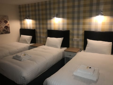 Economy Triple Room | Desk, laptop workspace, free WiFi, bed sheets