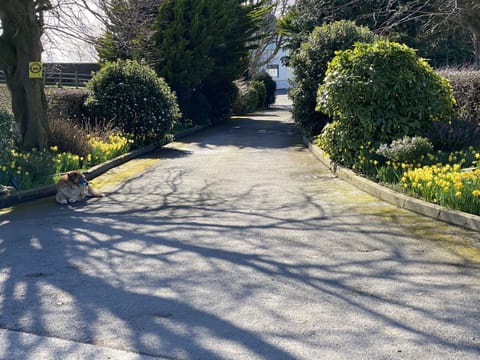 Cottage | Property grounds