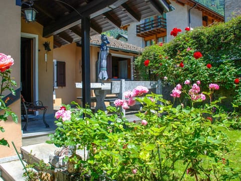 Flower, Property, Plant, House, Botany, Garden, Architecture, Building, Real Estate, Yard