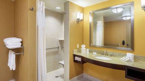Room, Accessible | Bathroom shower