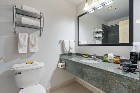 Combined shower/tub, free toiletries, hair dryer, towels