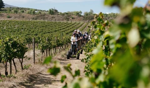 Segway tours