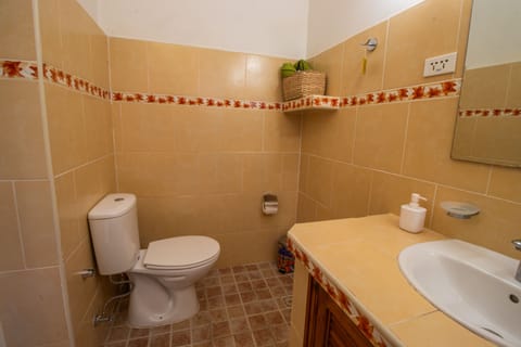 Comfort Room, 1 Double Bed | Bathroom | Shower, hydromassage showerhead, eco-friendly toiletries, hair dryer