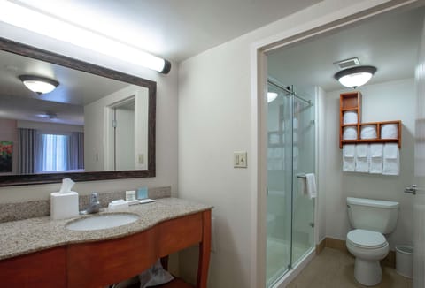 Signature Suite, Multiple Beds, Walk-In Shower | Bathroom | Free toiletries, hair dryer, towels, soap