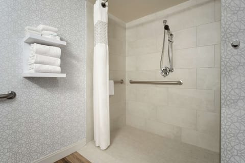 Room, 1 King Bed, Accessible, Non Smoking | Bathroom shower