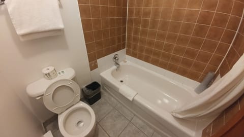 Combined shower/tub, free toiletries, hair dryer, towels