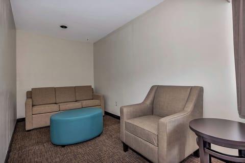 Suite, 1 King Bed, Non Smoking | Living area | Flat-screen TV