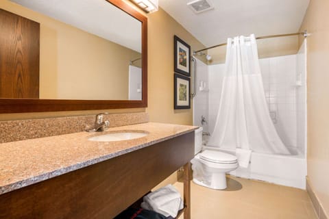 Suite, 1 King Bed, Non Smoking (with Wet Bar) | Bathroom | Hair dryer, towels, soap, shampoo