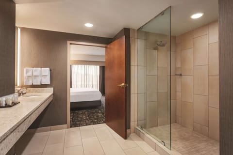 Presidential Suite, Non Smoking | Bathroom shower